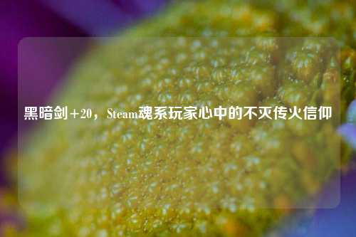 黑暗剑+20,Steam魂系玩家心中的不灭传火信仰