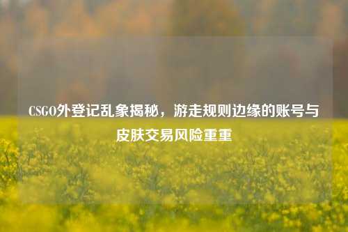 CSGO外登记乱象揭秘,游走规则边缘的账号与皮肤交易风险重重