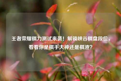 王者荣耀棋力测试来袭!解锁峡谷棋盘段位,看看你是棋手大神还是棋渣?