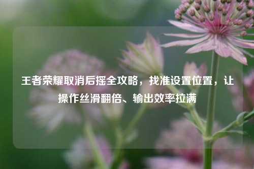 王者荣耀取消后摇全攻略,找准设置位置,让操作丝滑翻倍、输出效率拉满