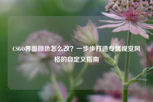 CSGO界面颜色怎么改？一步步打造专属视觉风格的自定义指南