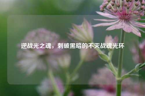 逆战光之魂,刺破黑暗的不灭战魂光环