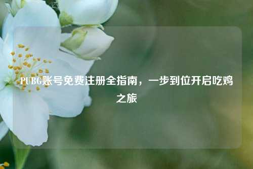 PUBG账号免费注册全指南，一步到位开启吃鸡之旅