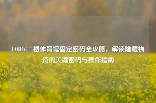 COD16二楼体育馆固定密码全攻略,解锁隐藏物资的关键密码与操作指南