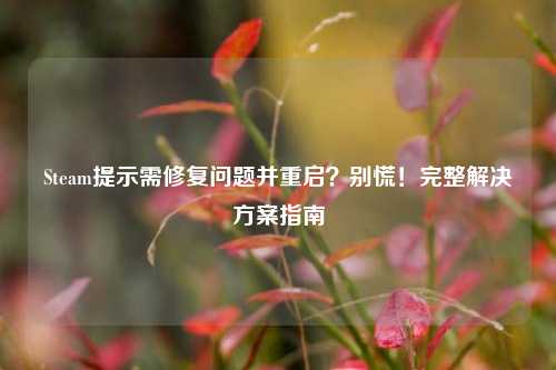 Steam提示需修复问题并重启？别慌！完整解决方案指南