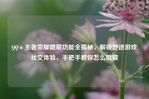      ×王者荣耀隐藏功能全揭秘，解锁舒适游戏社交体验，手把手教你怎么隐藏