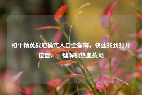 和平精英战地模式入口全指南,快速找到打开位置,一键解锁热血战场