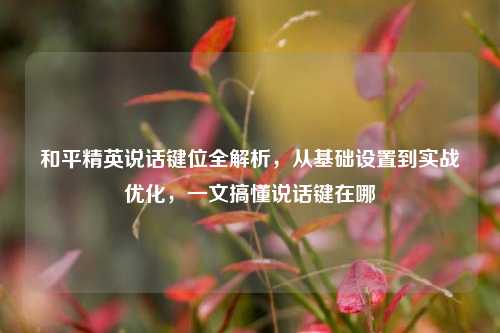 和平精英说话键位全解析,从基础设置到实战优化,一文搞懂说话键在哪