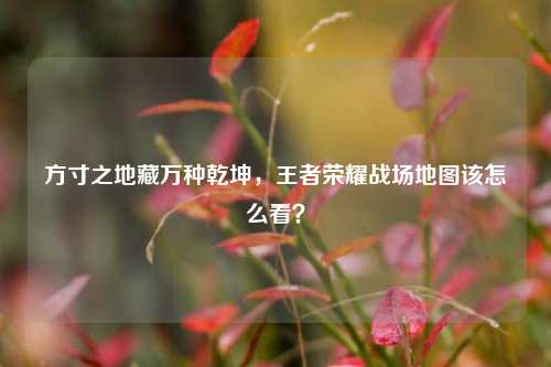 方寸之地藏万种乾坤,王者荣耀战场地图该怎么看?