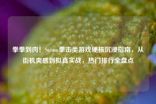 拳拳到肉！Steam拳击类游戏硬核沉浸指南，从街机爽感到拟真实战，热门排行全盘点