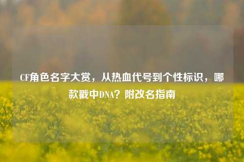 CF角色名字大赏，从热血代号到个性标识，哪款戳中DNA？附改名指南