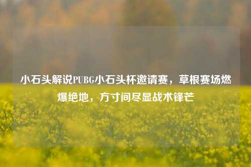 小石头解说PUBG小石头杯邀请赛，草根赛场燃爆绝地，方寸间尽显战术锋芒