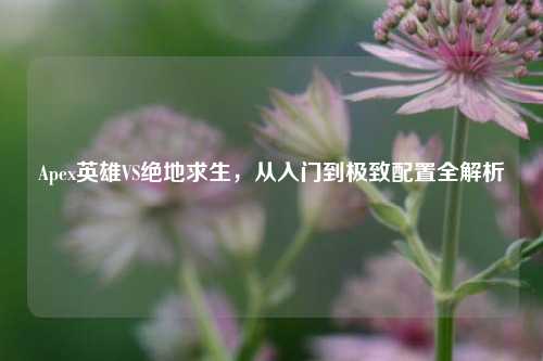 Apex英雄VS绝地求生,从入门到极致配置全解析