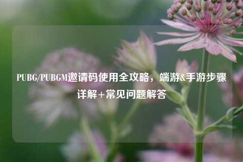 PUBG/PUBGM邀请码使用全攻略,端游&手游步骤详解+常见问题解答