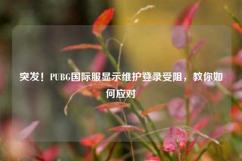 突发！PUBG国际服显示维护登录受阻，教你如何应对