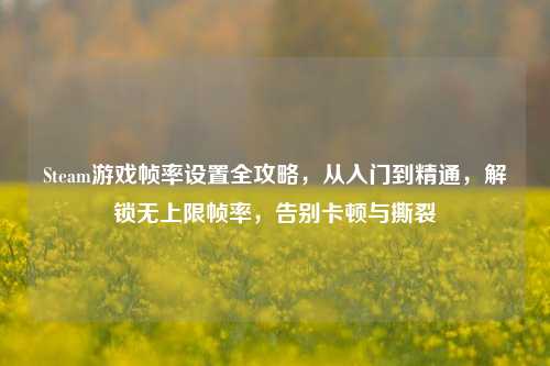 Steam游戏帧率设置全攻略,从入门到精通,解锁无上限帧率,告别卡顿与撕裂