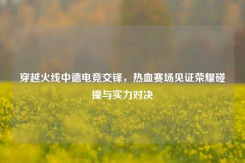穿越火线中德电竞交锋,热血赛场见证荣耀碰撞与实力对决
