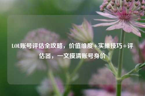 LOL账号评估全攻略,价值维度+实操技巧+评估器,一文摸清账号身价
