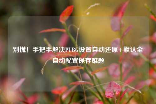 别慌!手把手解决PUBG设置自动还原+默认全自动配置保存难题