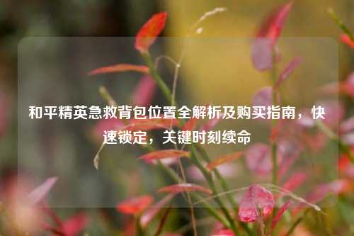 和平精英急救背包位置全解析及购买指南,快速锁定,关键时刻续命