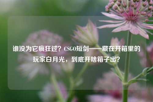 谁没为它疯狂过？CSGO短剑——藏在开箱里的玩家白月光，到底开啥箱子出？
