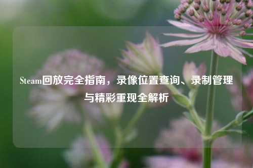 Steam回放完全指南,录像位置查询、录制管理与精彩重现全解析