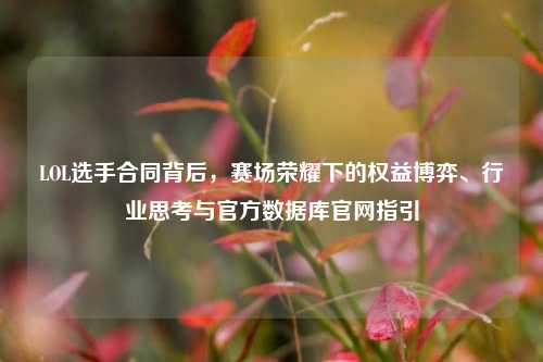 LOL选手合同背后,赛场荣耀下的权益博弈、行业思考与官方数据库官网指引