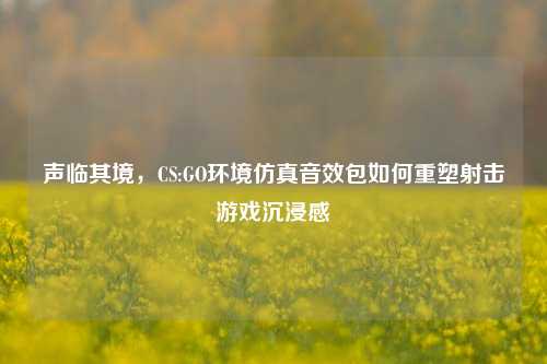 声临其境，CS:GO环境仿真音效包如何重塑射击游戏沉浸感