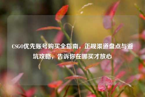 CSGO优先账号购买全指南，正规渠道盘点与避坑攻略，告诉你在哪买才放心