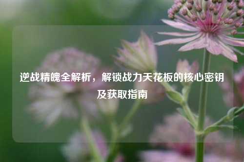 逆战精魄全解析,解锁战力天花板的核心密钥及获取指南