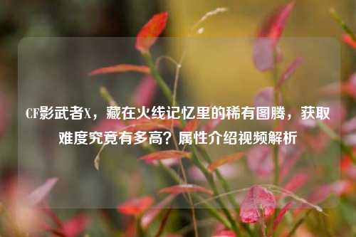 CF影武者X,藏在火线记忆里的稀有图腾,获取难度究竟有多高?属性介绍视频解析
