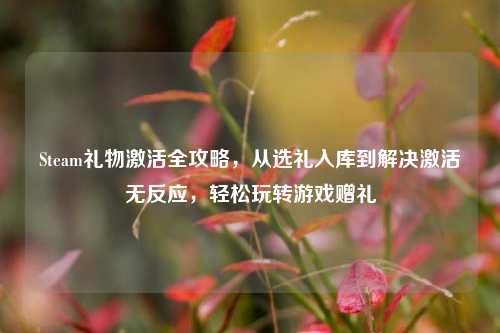 Steam礼物激活全攻略,从选礼入库到解决激活无反应,轻松玩转游戏赠礼