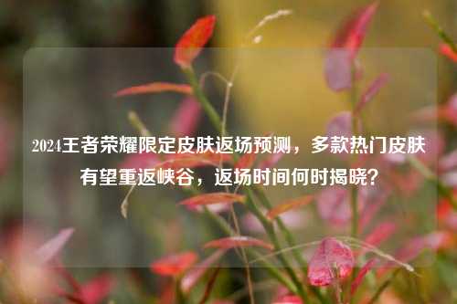 2024王者荣耀限定皮肤返场预测，多款热门皮肤有望重返峡谷，返场时间何时揭晓？
