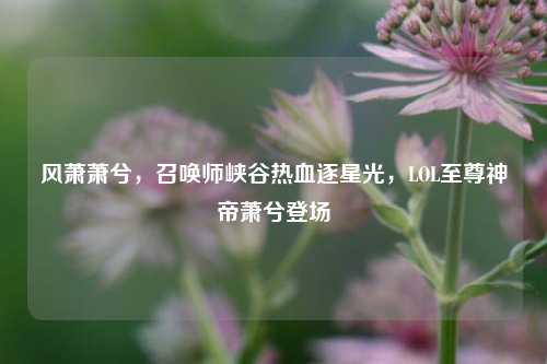 风萧萧兮，召唤师峡谷热血逐星光，LOL至尊神帝萧兮登场