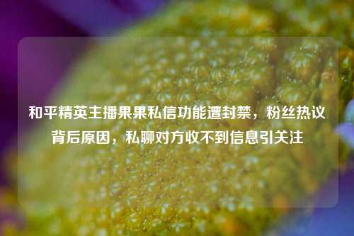 和平精英主播果果私信功能遭封禁,粉丝热议背后原因,私聊对方收不到信息引关注