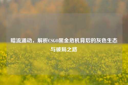 暗流涌动,解析CSGO黑金危机背后的灰色生态与破局之路