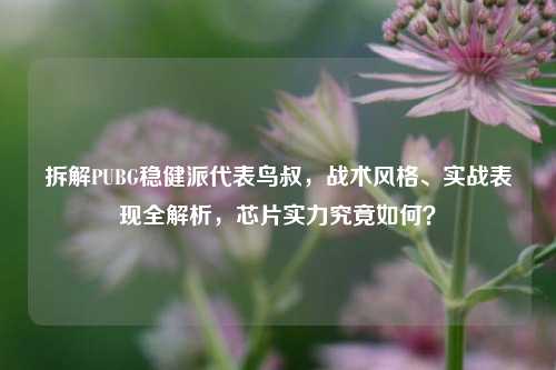 拆解PUBG稳健派代表鸟叔,战术风格、实战表现全解析,芯片实力究竟如何?