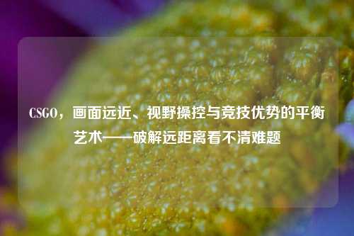 CSGO,画面远近、视野操控与竞技优势的平衡艺术——破解远距离看不清难题