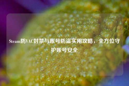 Steam防VAC封禁与账号防盗实用攻略,全方位守护账号安全