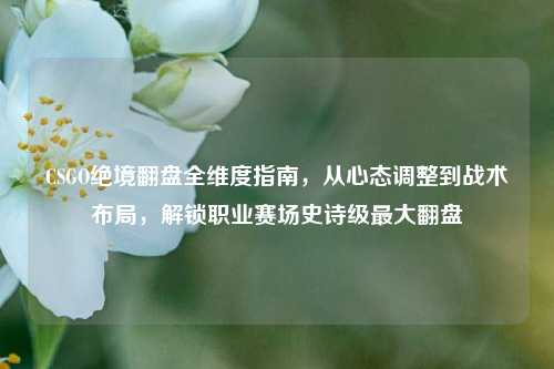CSGO绝境翻盘全维度指南,从心态调整到战术布局,解锁职业赛场史诗级更大翻盘
