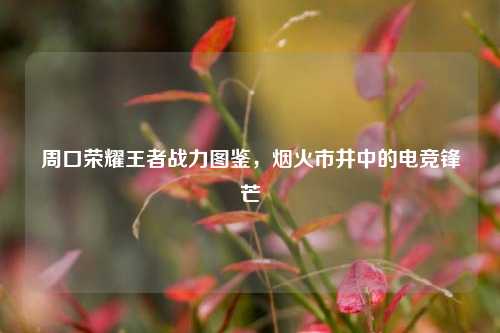 周口荣耀王者战力图鉴，烟火市井中的电竞锋芒