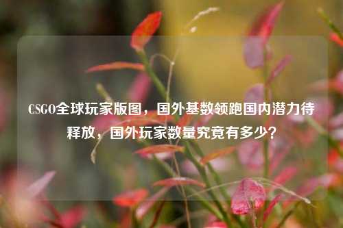 CSGO全球玩家版图,国外基数领跑国内潜力待释放,国外玩家数量究竟有多少?
