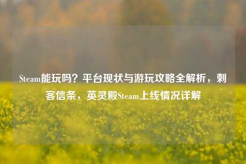 Steam能玩吗?平台现状与游玩攻略全解析,刺客信条,英灵殿Steam上线情况详解