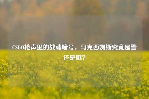 CSGO枪声里的战魂暗号，马克西姆斯究竟是警还是匪？