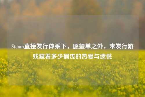 Steam直接发行体系下,愿望单之外,未发行游戏藏着多少搁浅的热爱与遗憾