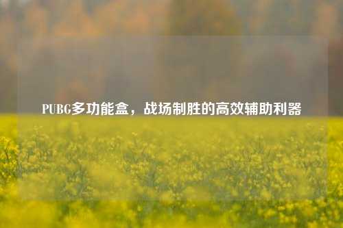 PUBG多功能盒，战场制胜的高效辅助利器