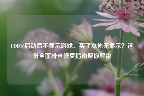 COD16启动后不显示游戏、买了本体无显示？这份全面排查修复指南帮你解决