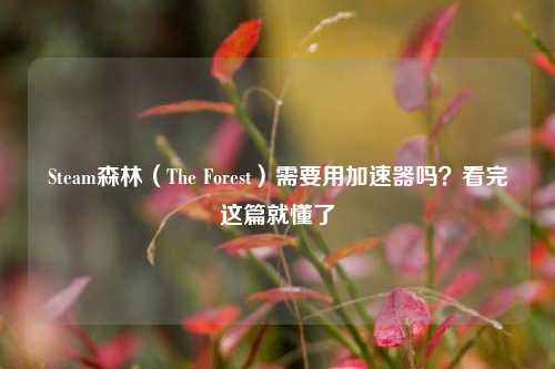 Steam森林（The Forest）需要用加速器吗？看完这篇就懂了