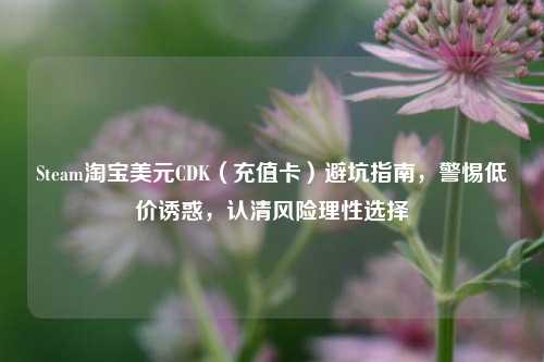 Steam     美元CDK（充值卡）避坑指南，警惕低价诱惑，认清风险理性选择