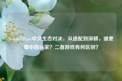 Steam与Epic中文生态对决，从适配到深耕，谁更懂中国玩家？二者游戏有何区别？
